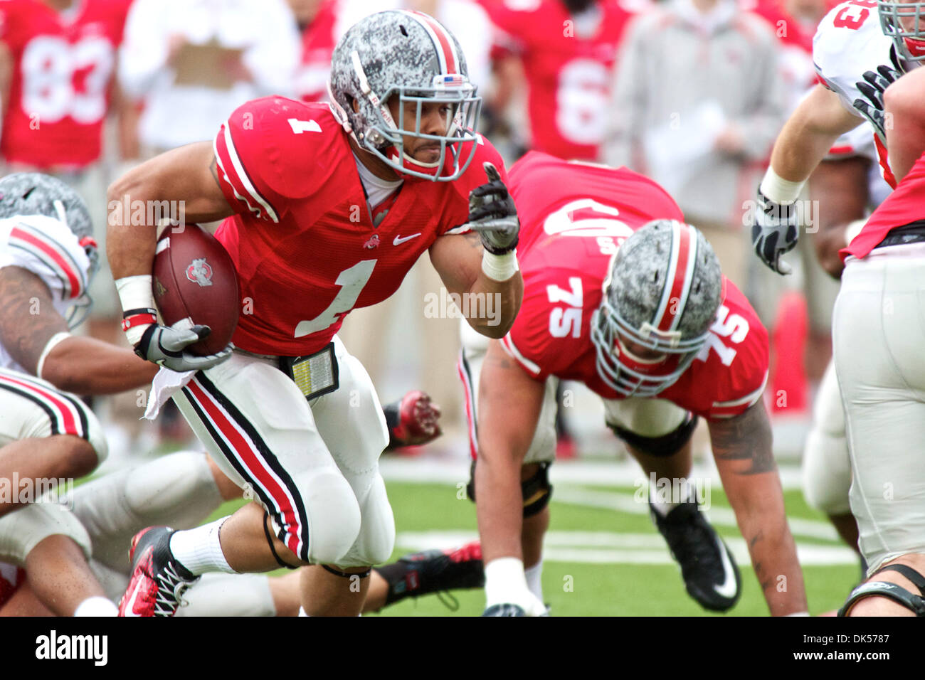 Bengals Take Buckeye RB Herron