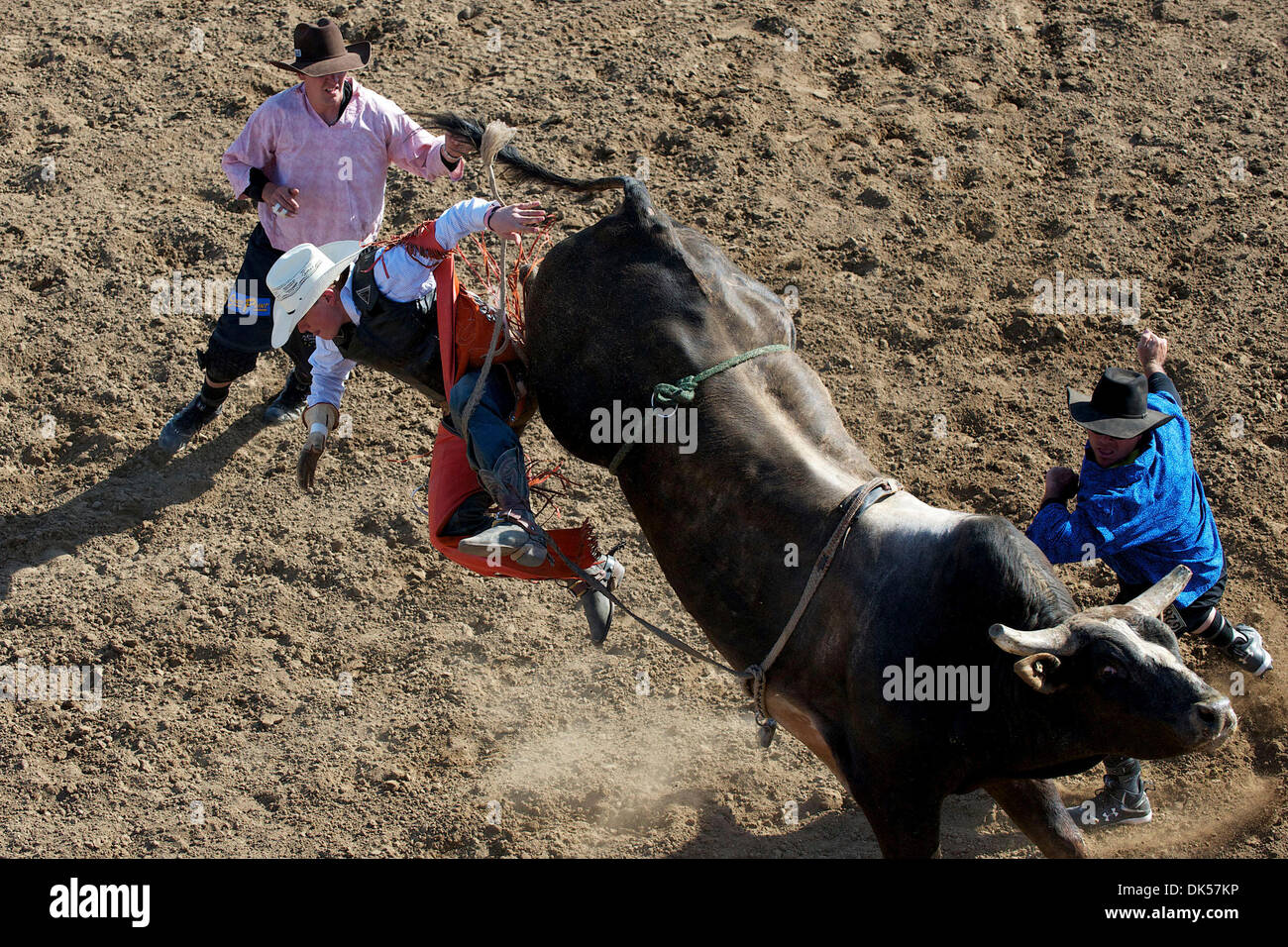 Bucked off horse hires stock photography and images Alamy