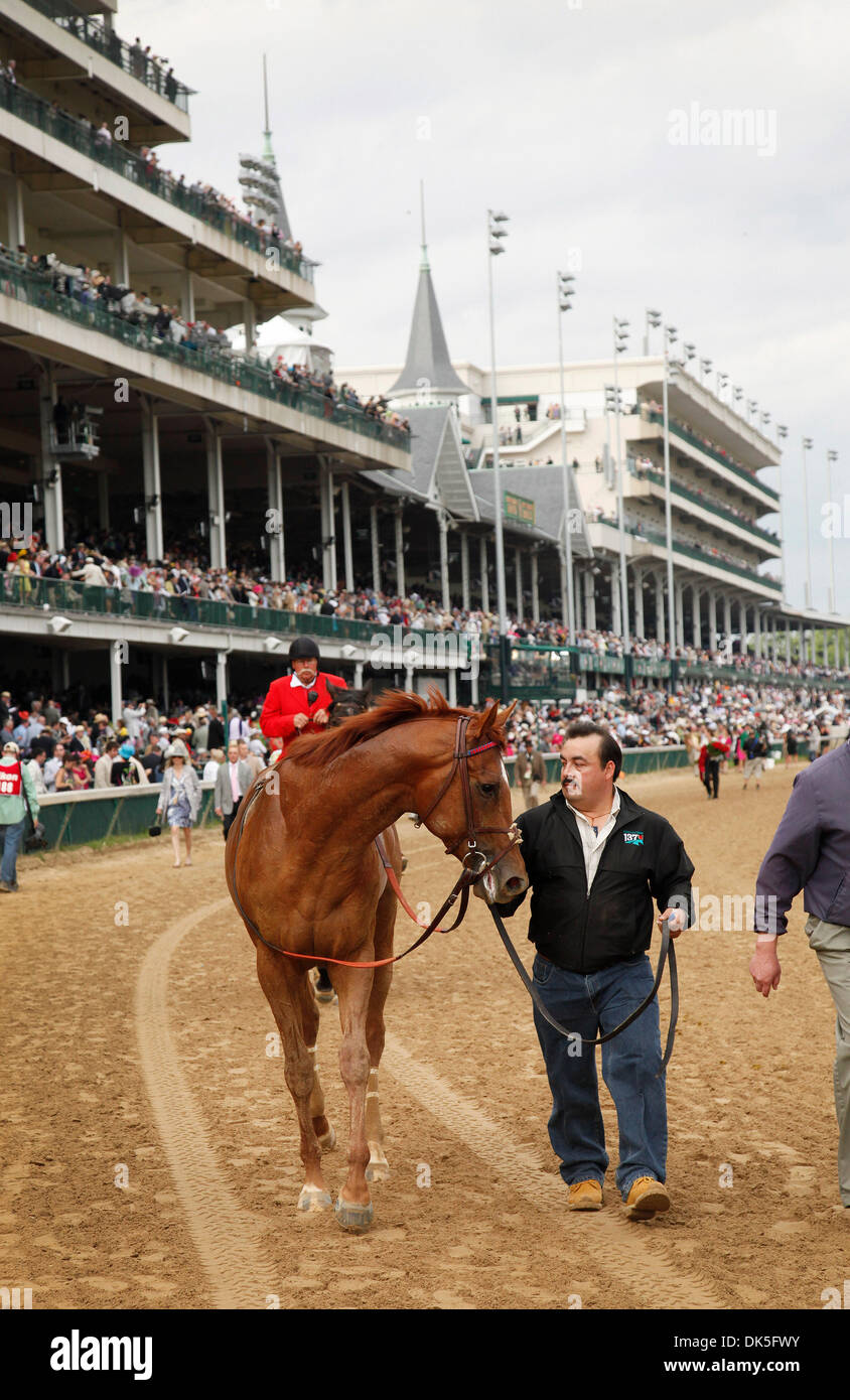 April 16, 2011 Louisville, KENTUCKY, USA Animal Kingdom is led back