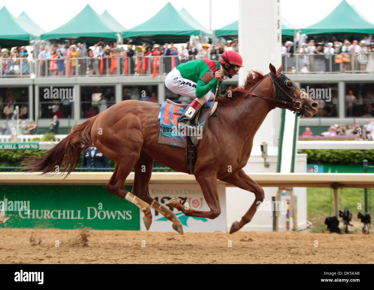 May 7, 2011 - Louisville, Ky, USA - Animal Kingdom with John R. Velazquez up crossed the finish line to win the 137th running of the Kentucky Derby at Churchill Downs May 7, 2011. Photo by Pablo Alcala | Staff (Credit Image: © Lexington Herald-Leader/ZUMAPRESS.com) Stock Photo