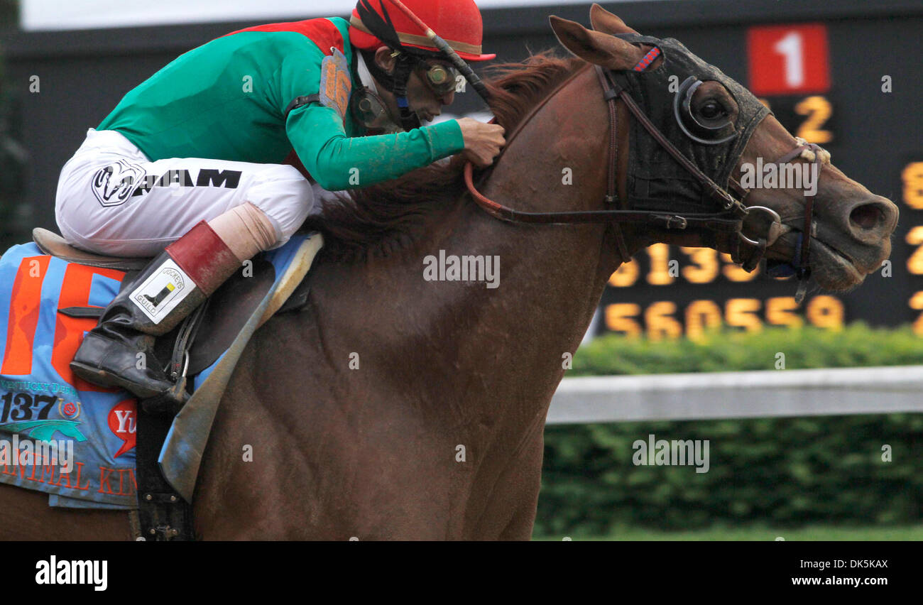 May 7, 2011 - Louisville, Ky, USA - Animal Kingdom with John R. Velazquez up eyes the finish line coming down the stretch in the 137th running of the Kentucky Derby at Churchill Downs May 7, 2011. Photo by Ron Garrison | Staff (Credit Image: © Lexington Herald-Leader/ZUMAPRESS.com) Stock Photo