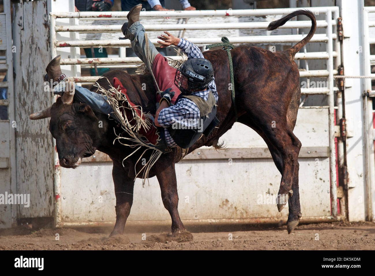 3"x5" V Brahma Bull Rider Rodeo Picture Frame 3.5"x5" 