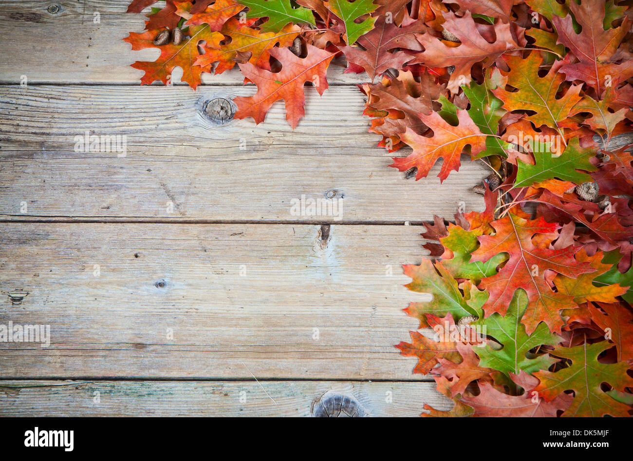 Autumn oak leaves on a old wooden background Stock Photo - Alamy