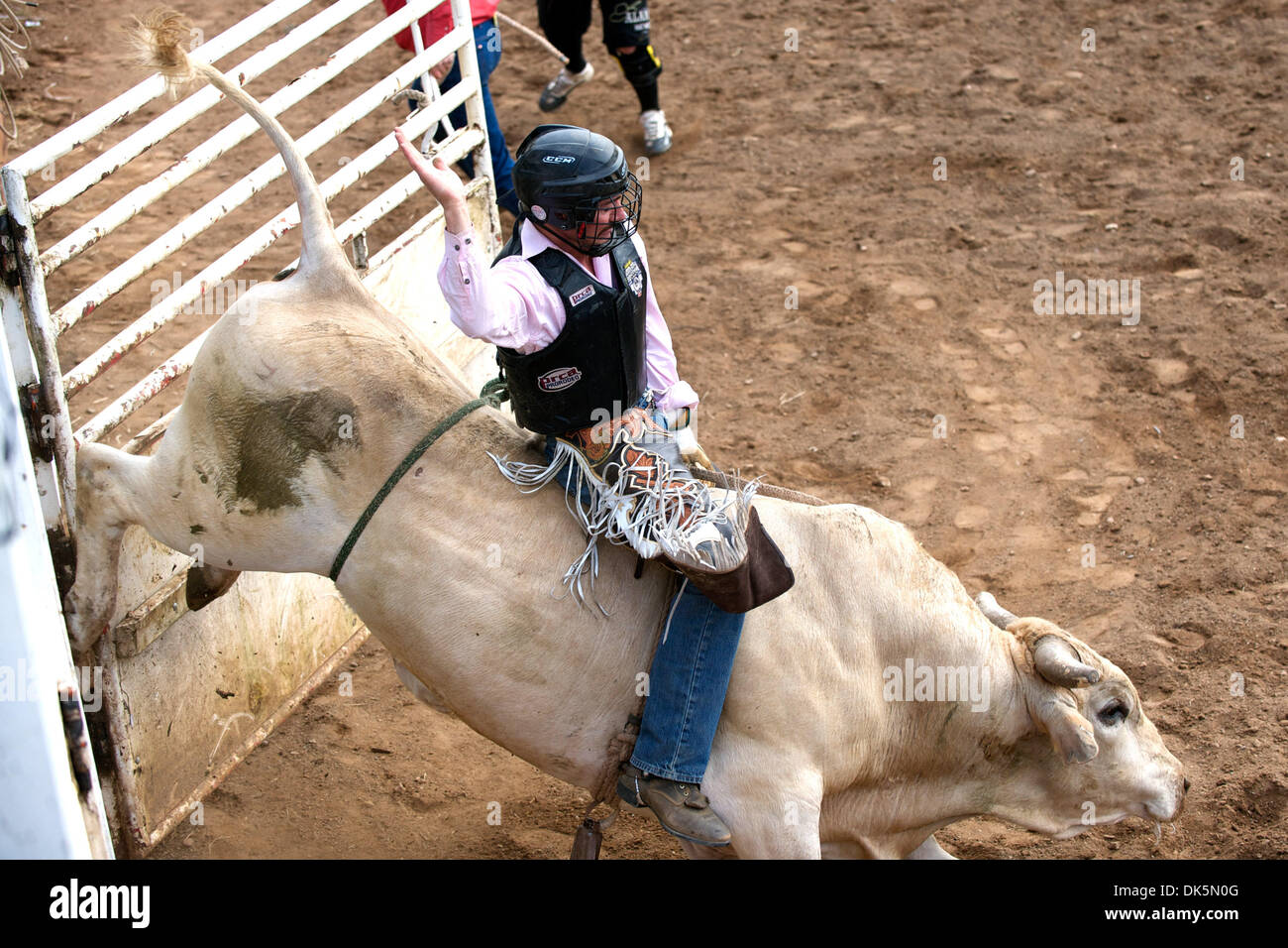 Ellensburg bull hires stock photography and images Alamy