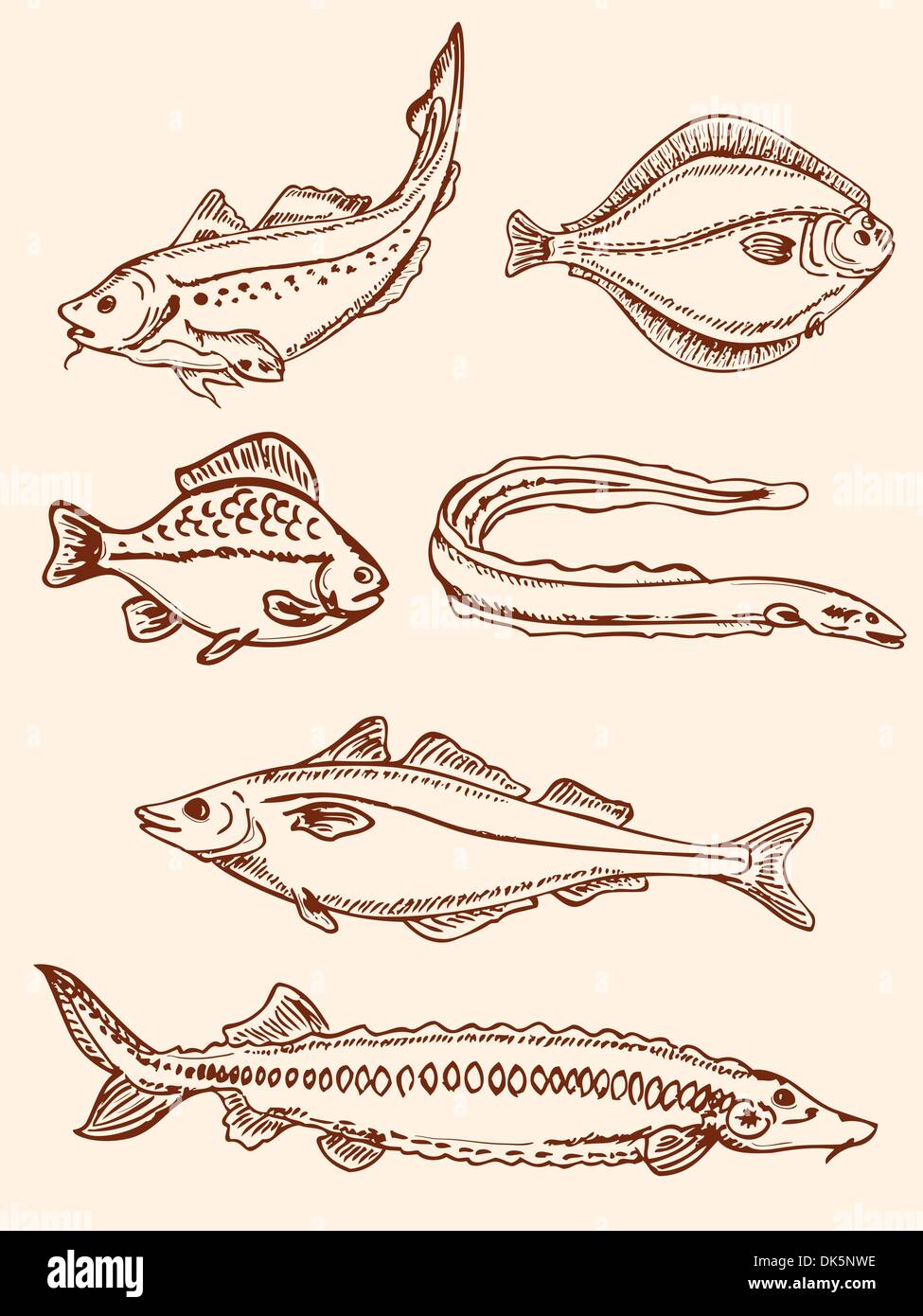 set of hand drawn vintage seafood Stock Vector Image & Art - Alamy