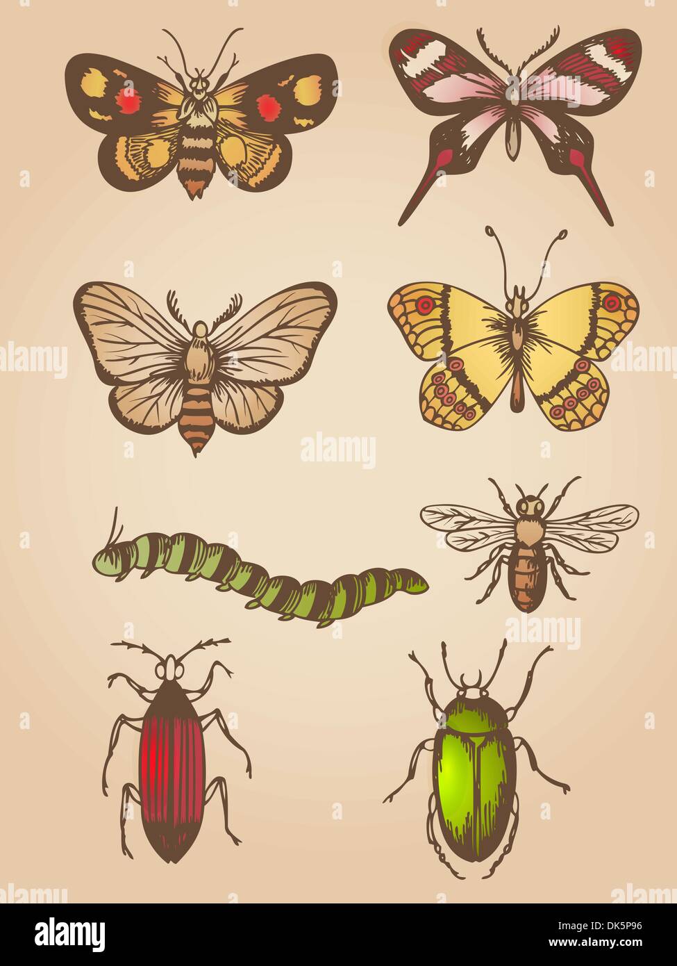Set of vector hand drawn vintage butterfly and insects Stock Vector ...