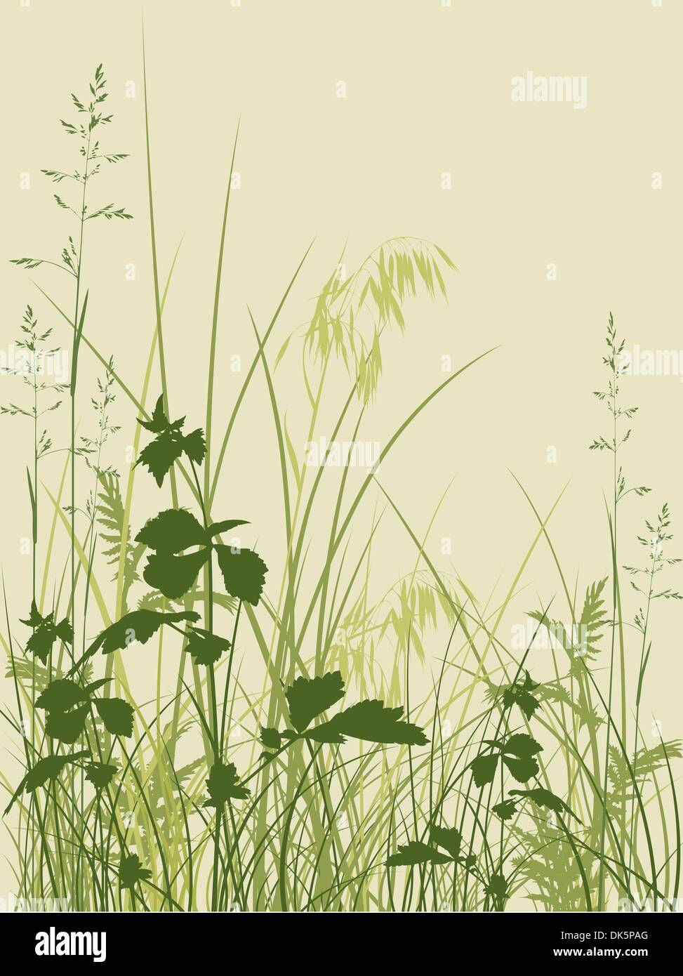 floral background with green grass Stock Vector Image & Art - Alamy