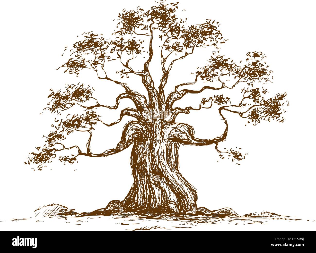 Tree on a white background, vector illustration Stock Vector Image ...