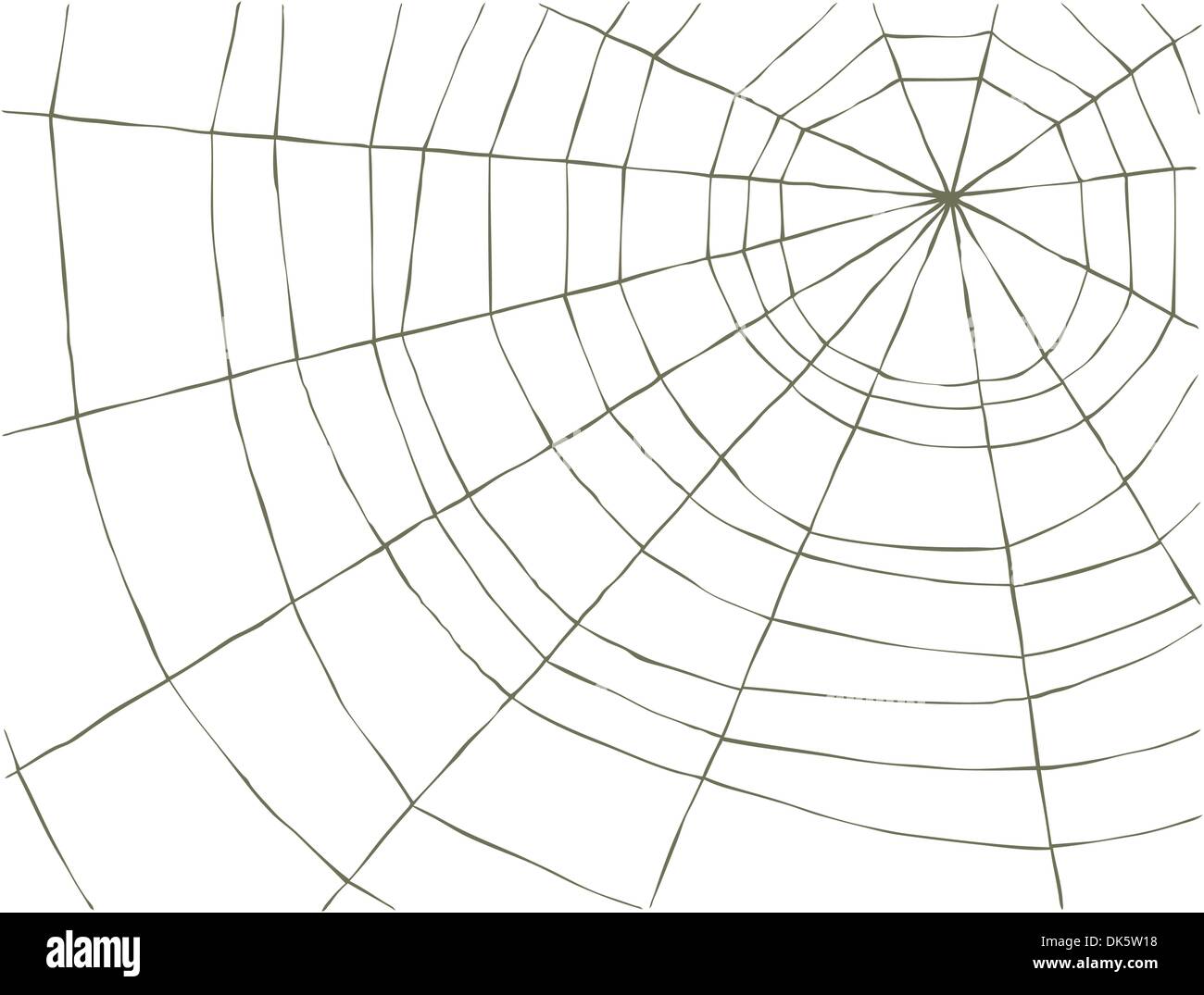 Spider Web on a white background, vector Stock Vector Image & Art - Alamy