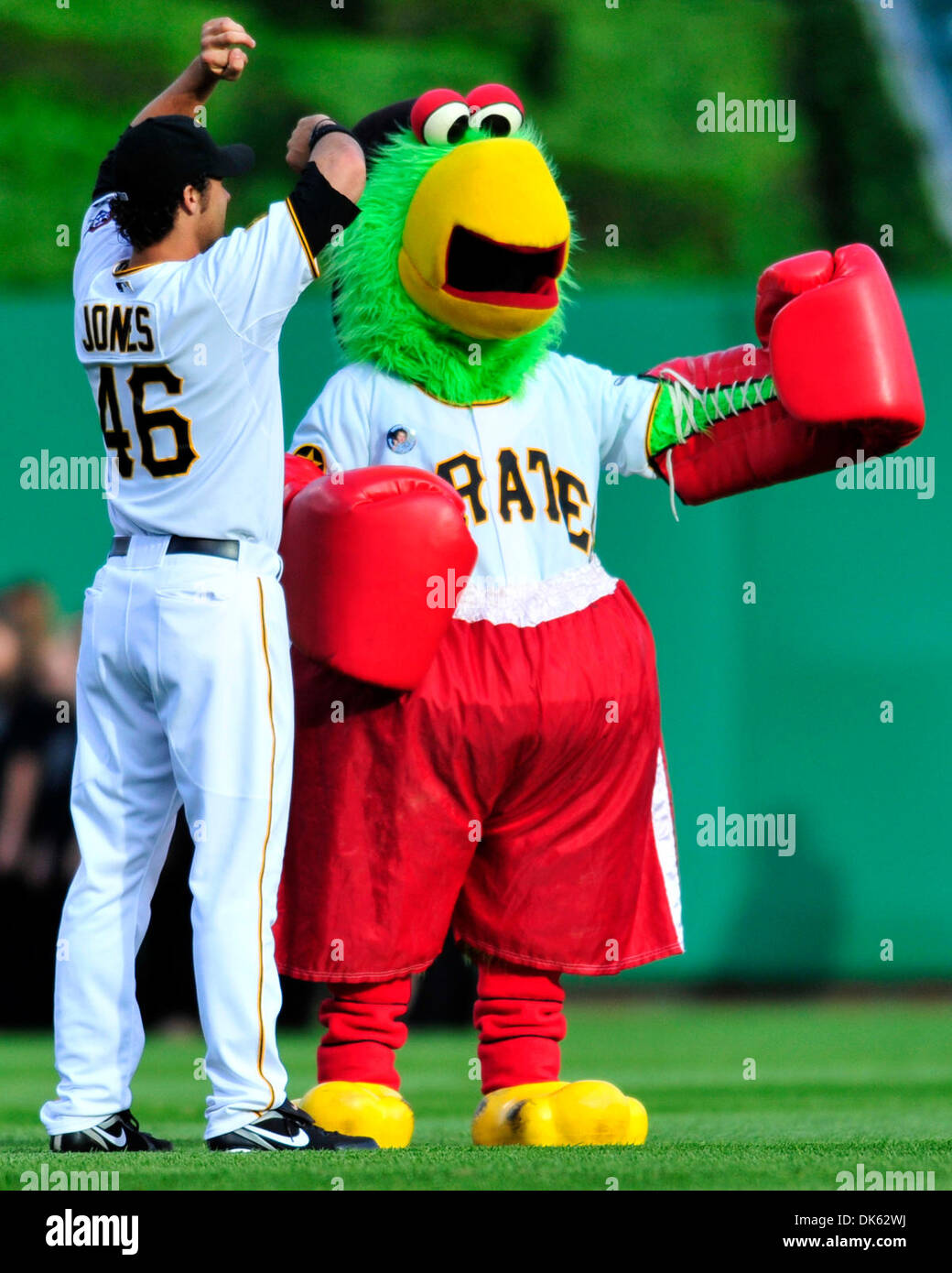 100 Pirate Parrot Mascot Stock Photos, High-Res Pictures, and Images -  Getty Images