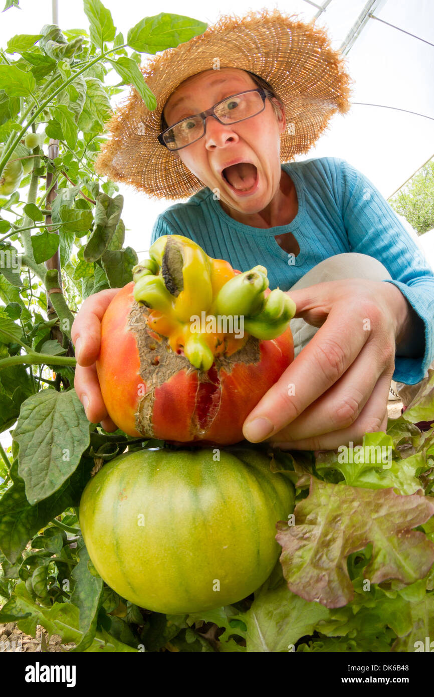 Big emotion in the presence of a malformed tomato (model release OK) // Grosse émotion devant une tomate mal formée Stock Photo