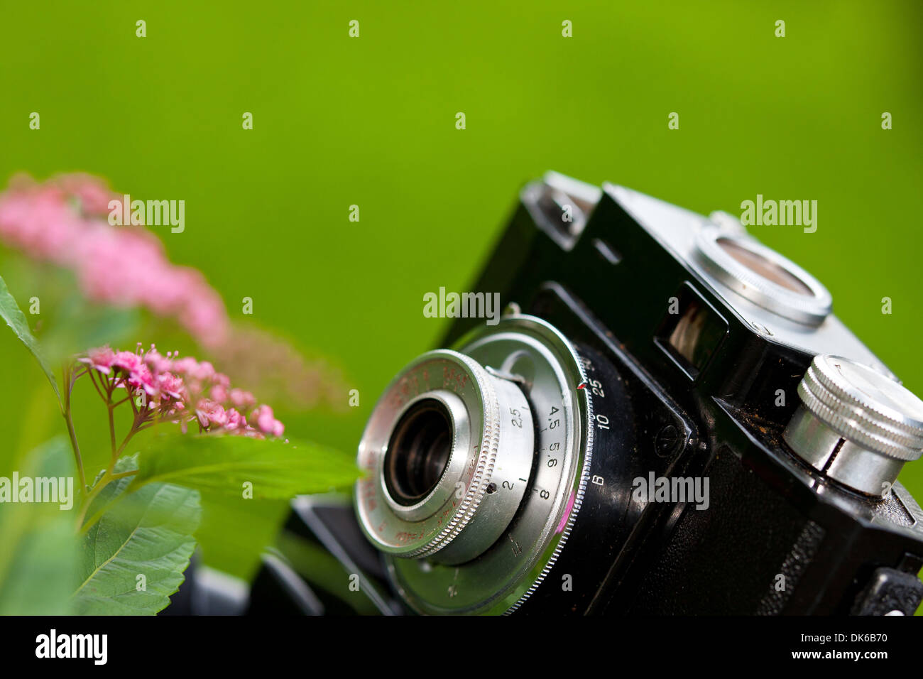 Closeup of a classical Russian made SLR film camera knwon as Cmena near flower. Stock Photo