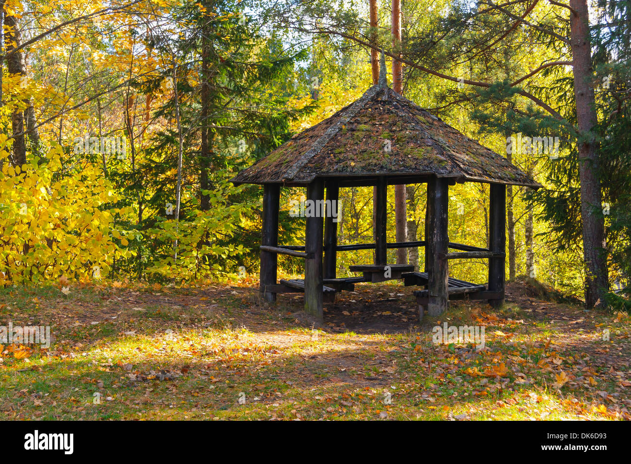 Camp area with a hut in greenish and yellowish forest. Stock Photo