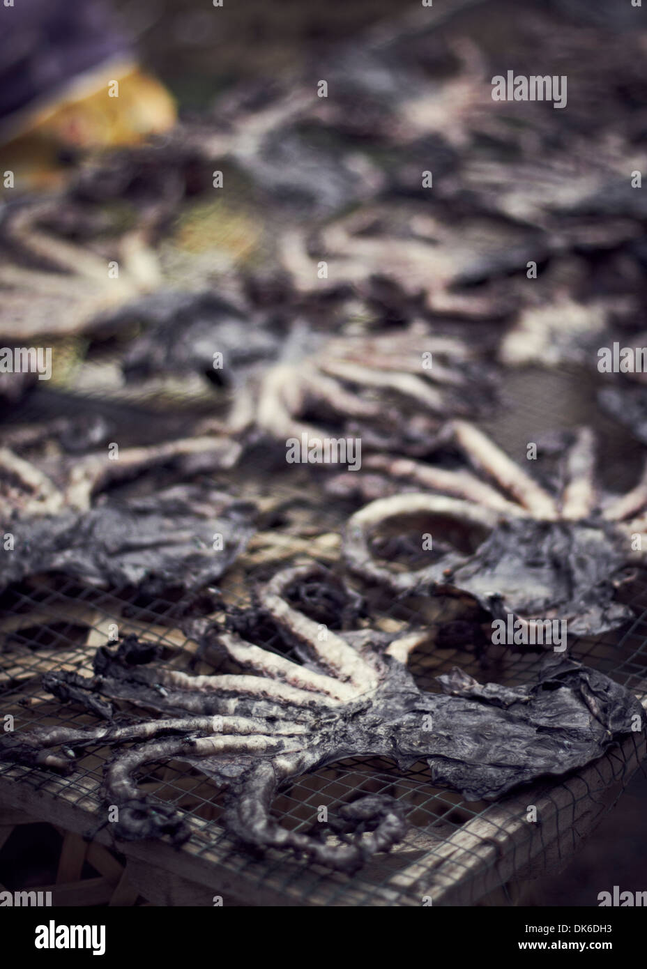 drying octopi on a rack in bali Stock Photo - Alamy