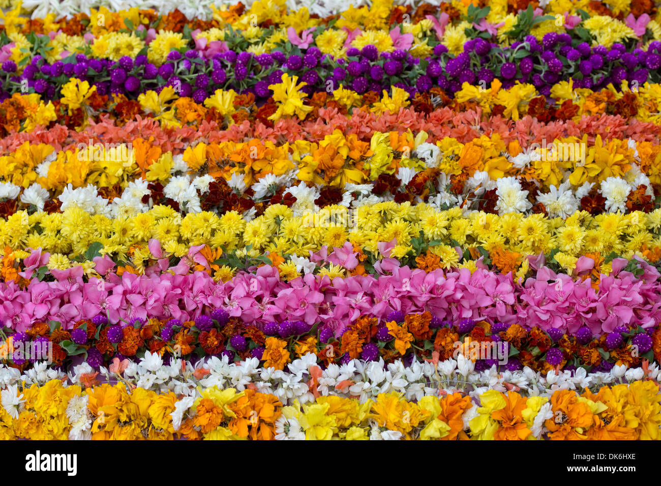 Colourful Indian flower garlands pattern Stock Photo - Alamy