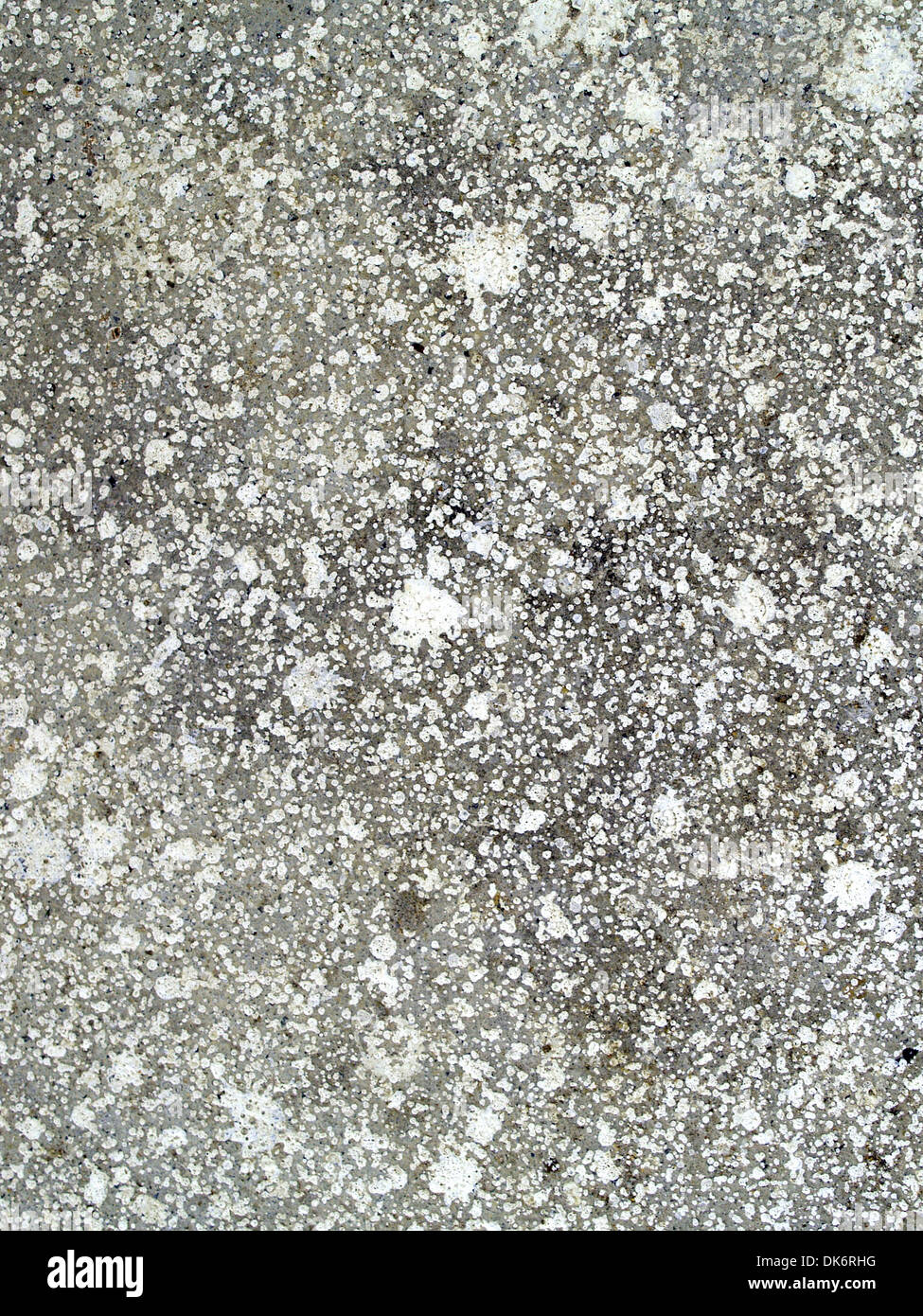 cement wall texture Stock Photo Alamy