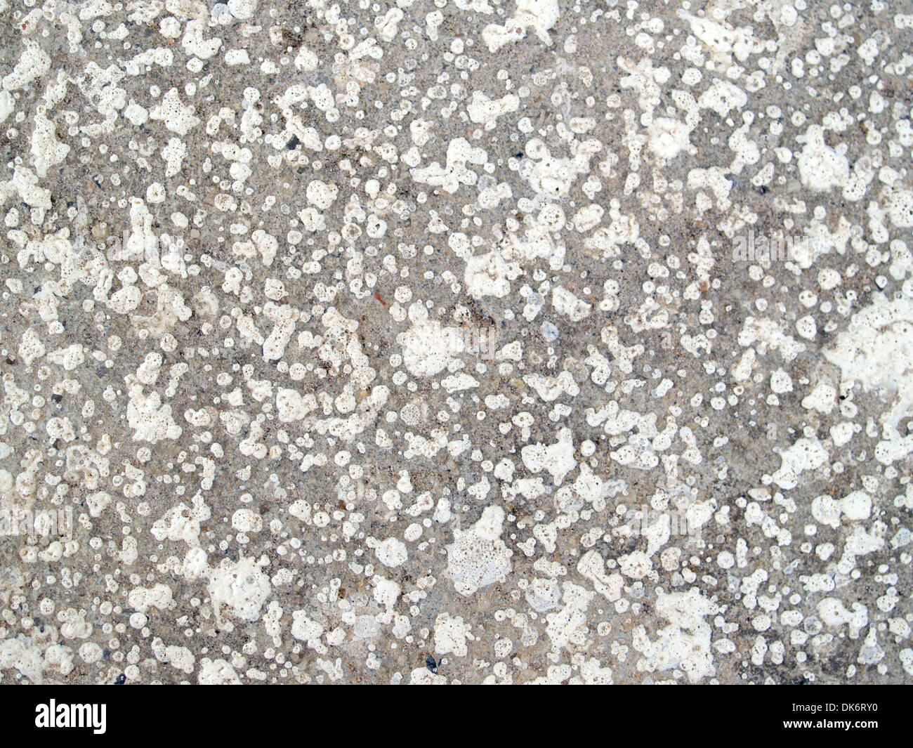 cement wall texture Stock Photo Alamy