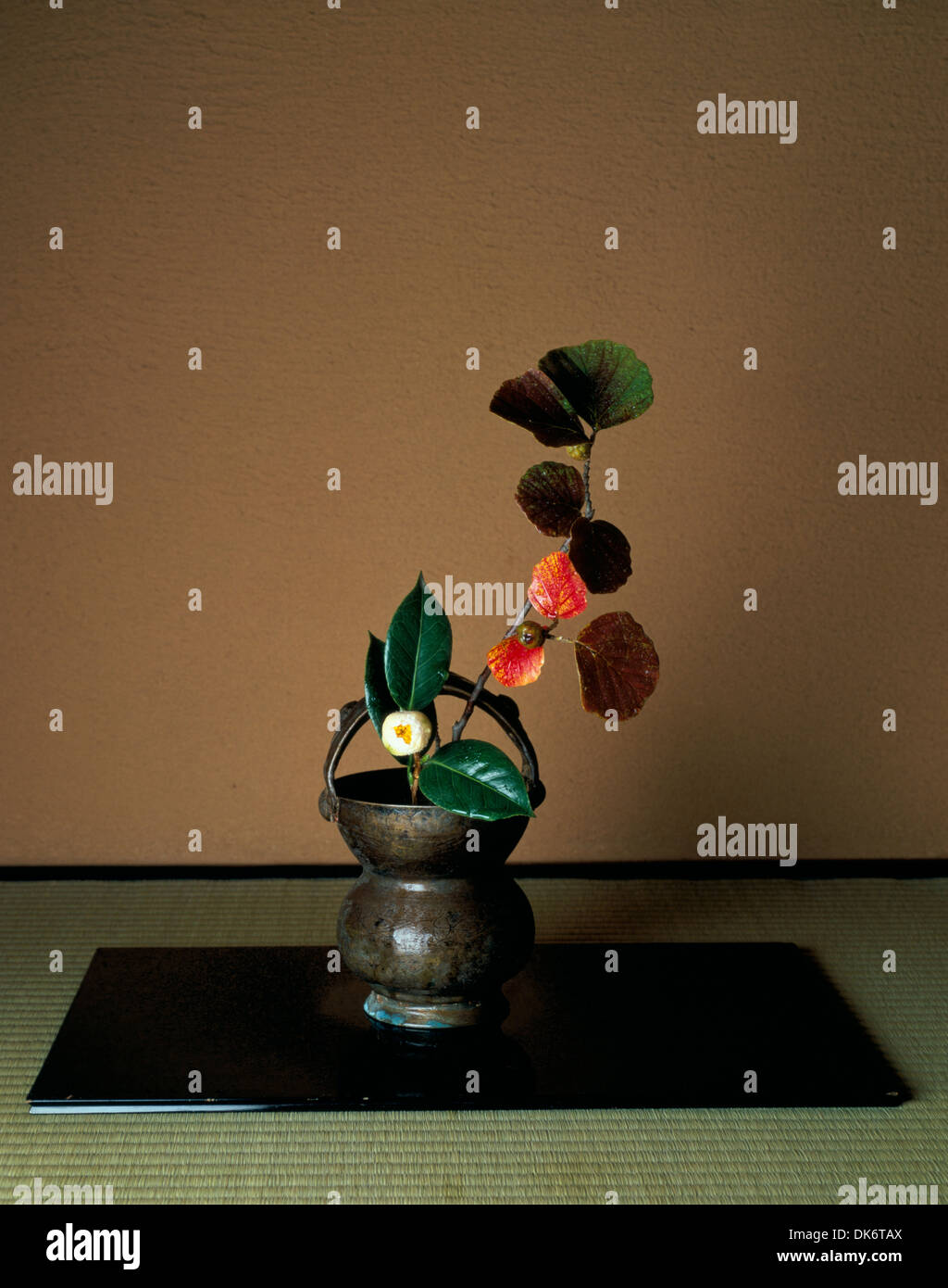 Flowering plant in vase Stock Photo