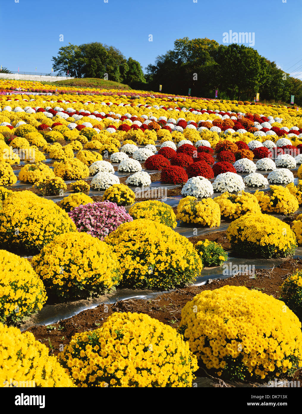 Gunma Prefecture, Japan Stock Photo Alamy