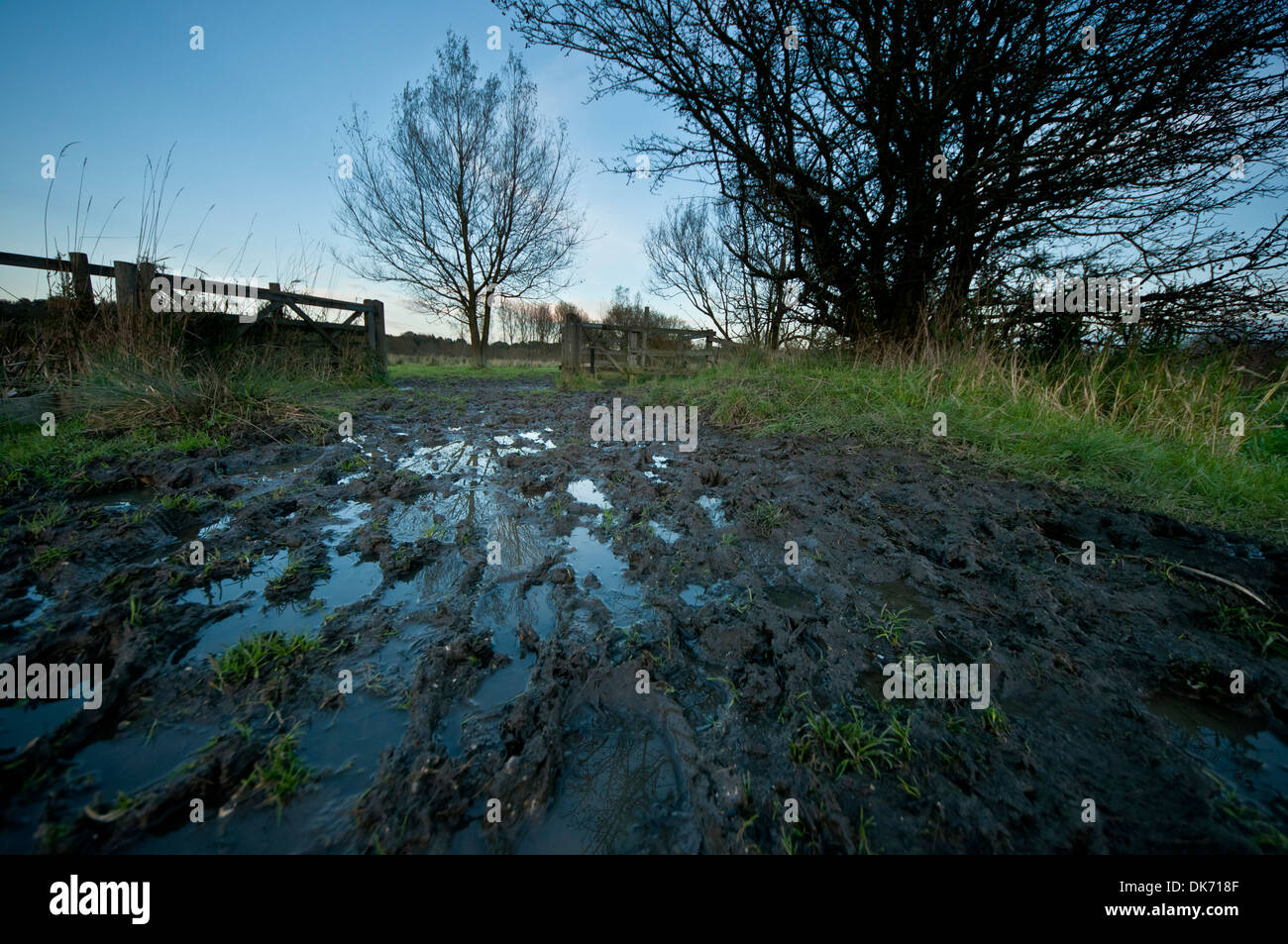 Muddy path mud Stock Photo Alamy