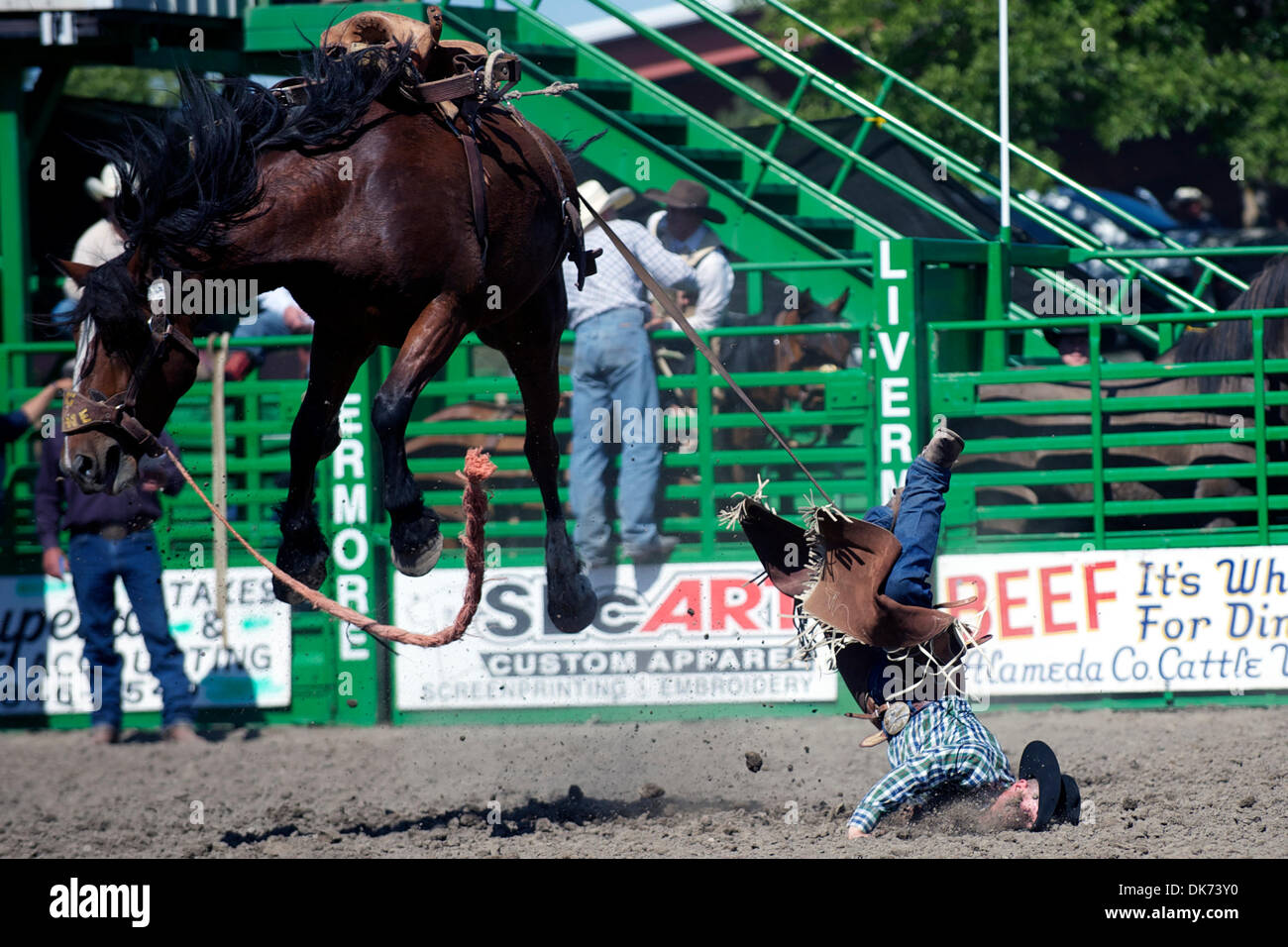 Matt Marvel Rodeo June 12, 2011 - Livermore, California, U.S - MATT MARVEL of Winnemucca ...