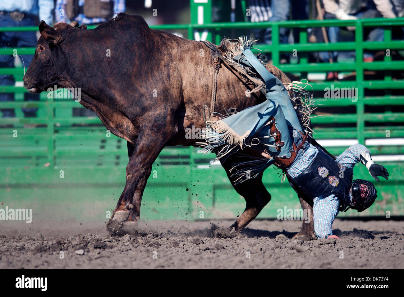 Chandler bownds hi-res stock photography and images - Alamy