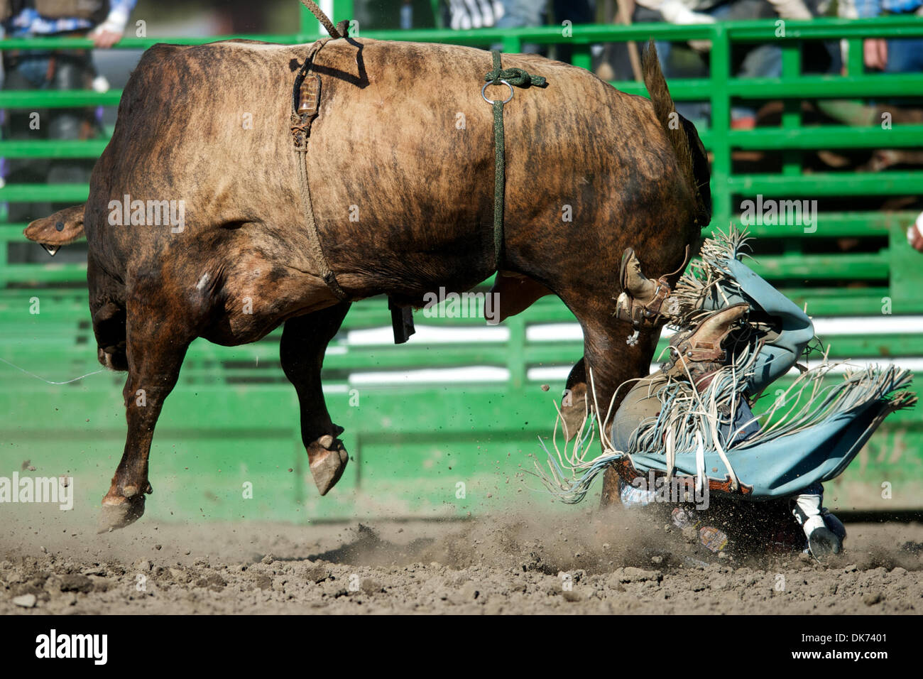 Chandler bownds hi-res stock photography and images - Alamy