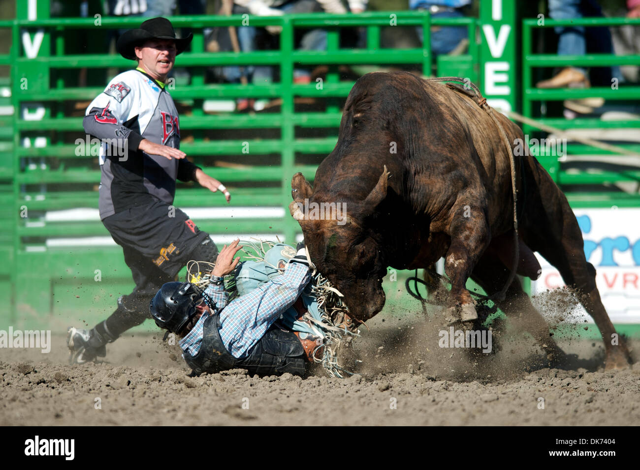 Chandler bownds hi-res stock photography and images - Alamy