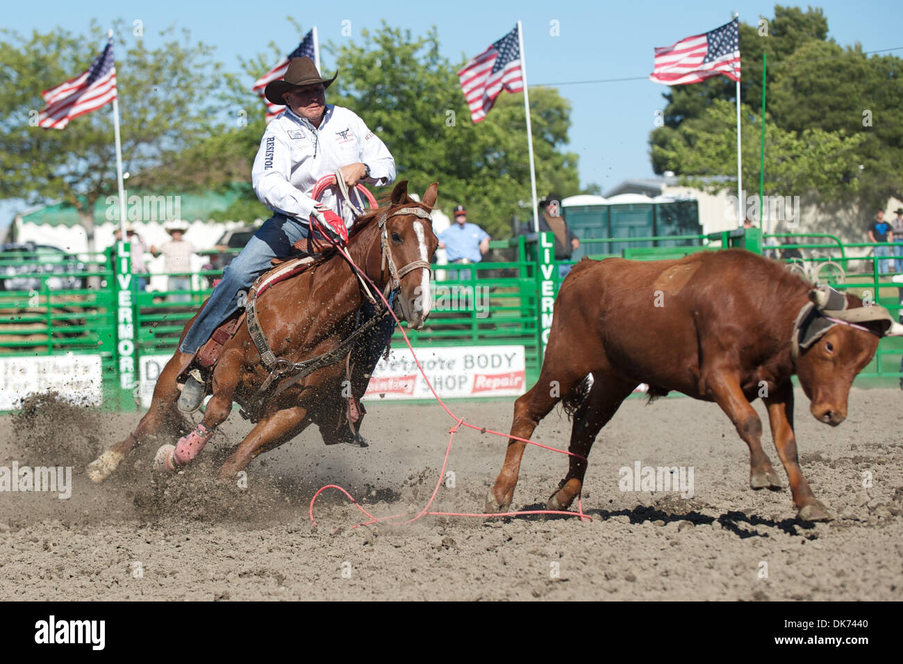 June 12, 2011 - Livermore, California, U.S - Team Roper Mike Beers competes at the 93rd Annual Livermore Rodeo at Robertson Park in Livermore, CA. (Credit Image: © Matt Cohen/Southcreek Global/ZUMAPRESS.com) Stock Photo