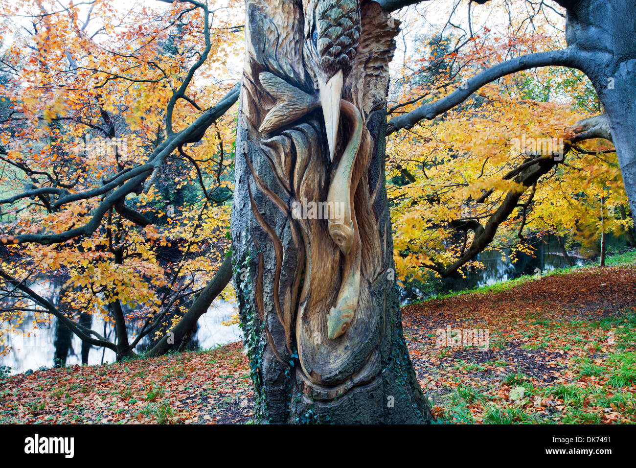 Kingfisher and Fish Wood Carving by the River Nidd at Knaresborough