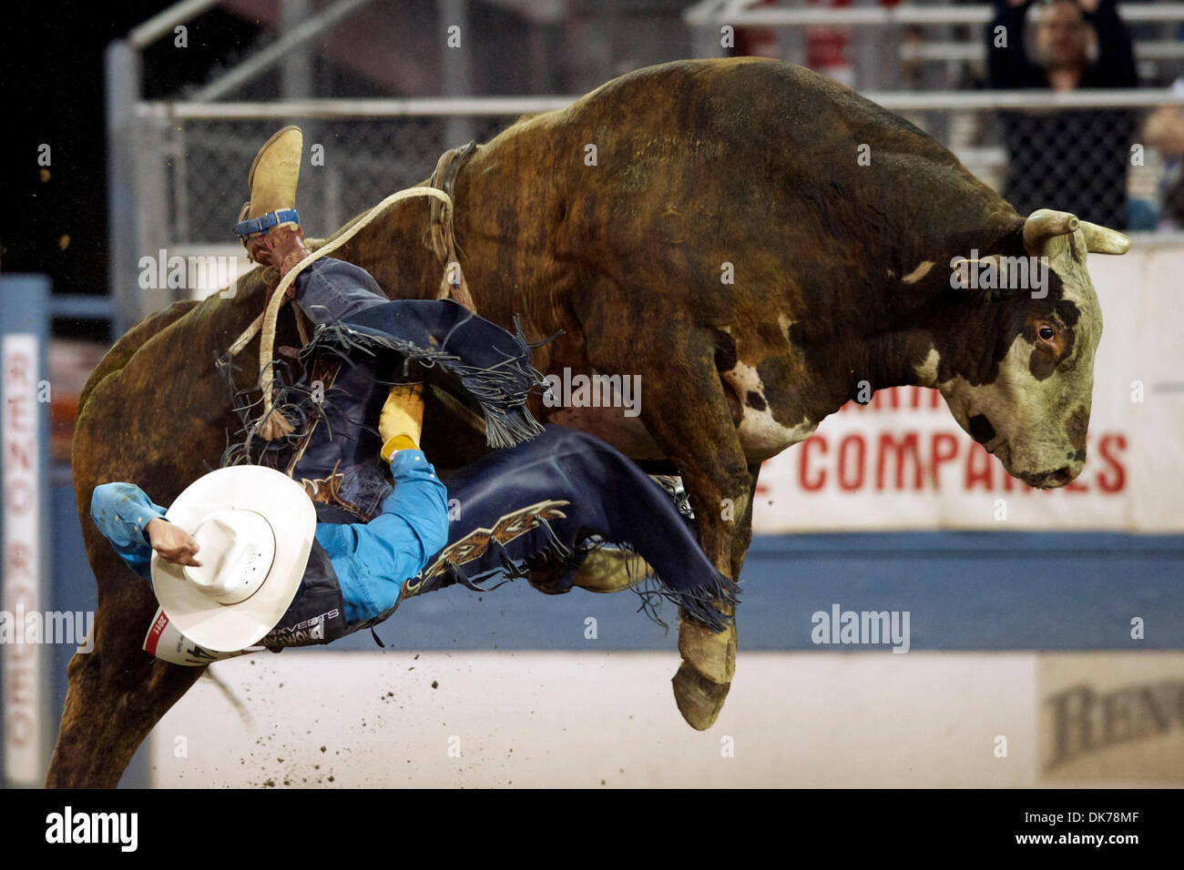 Matt Tyler Rodeo Rodeo cowboy gets bucked off hi-res stock photography and images - Alamy