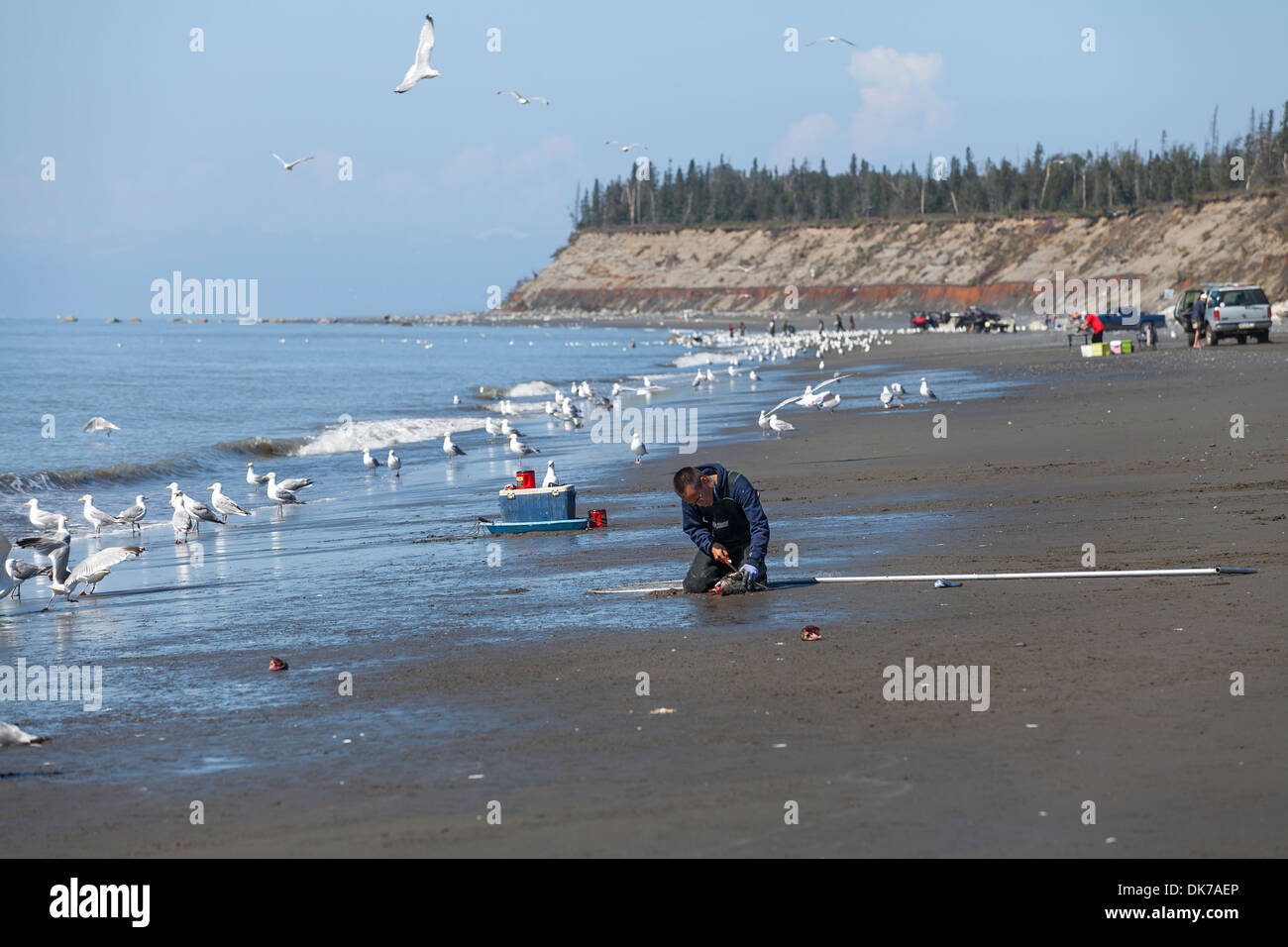 Fishing at the Kenai beach in Alaska, USA Stock Photo