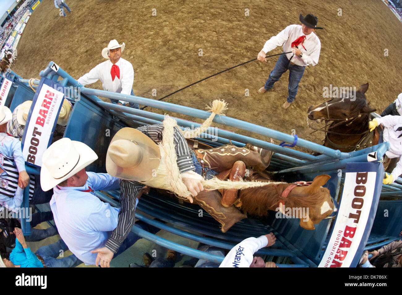 Alex wright hi-res stock photography and images - Alamy