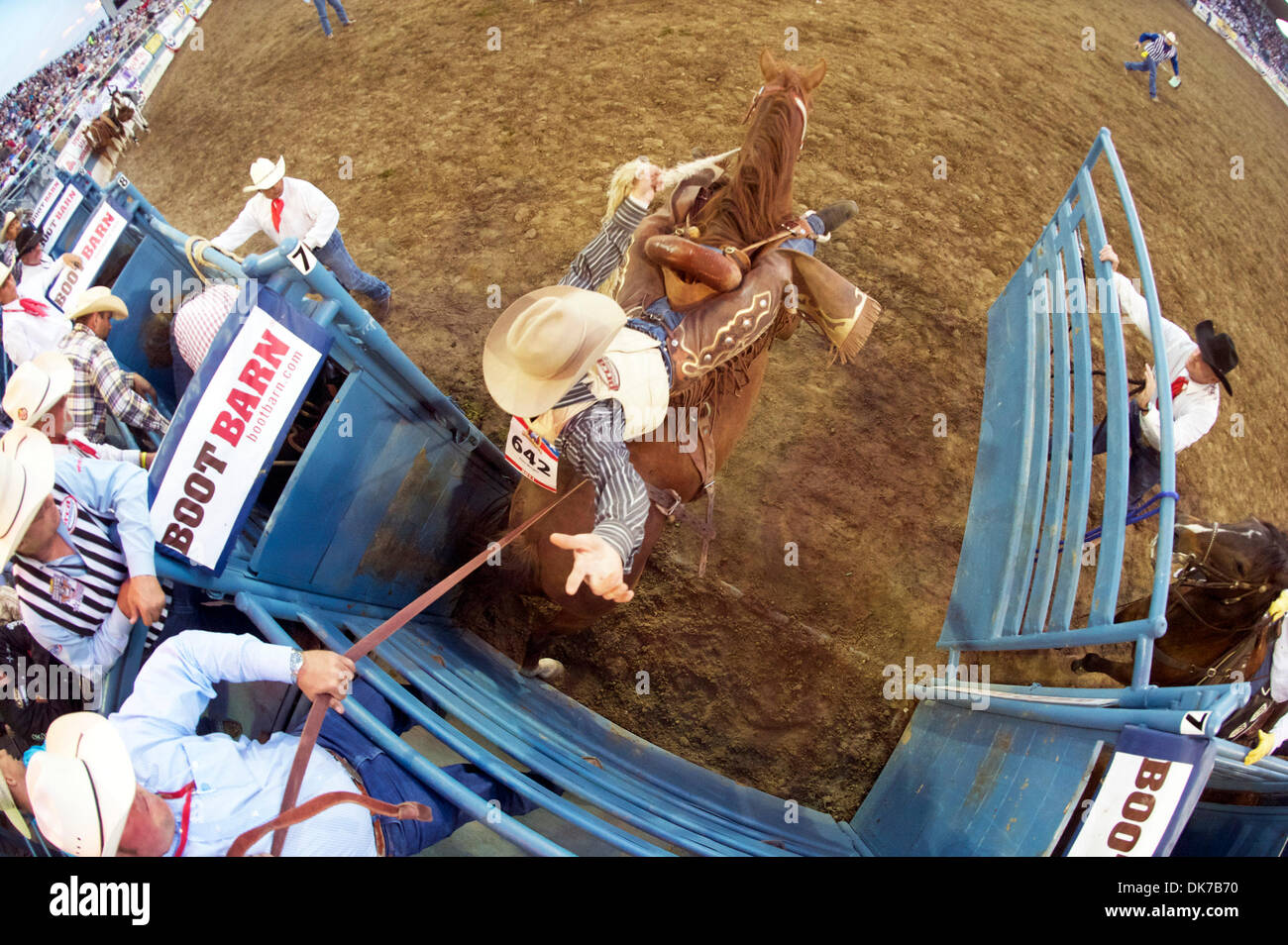 Alex wright hi-res stock photography and images - Alamy