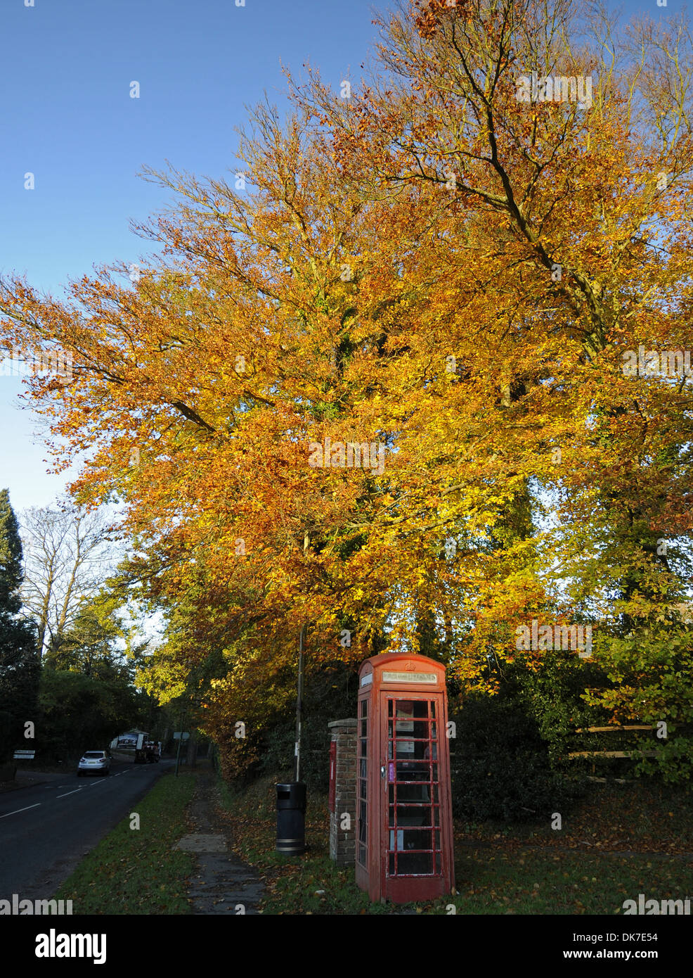 Autumn Trees and Red Telephone Box Sevenoaks Kent England Stock Photo