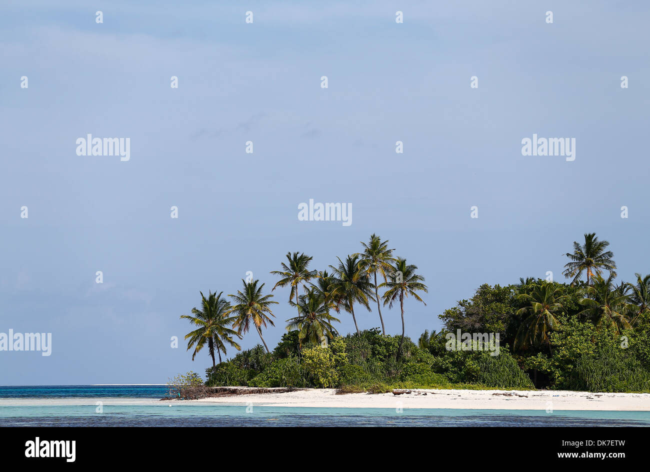 beach with palm trees in the maldives Stock Photo
