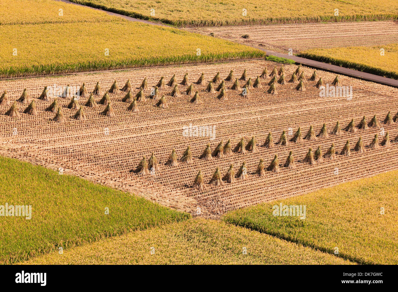 Kanagawa Prefecture, Japan Stock Photo Alamy