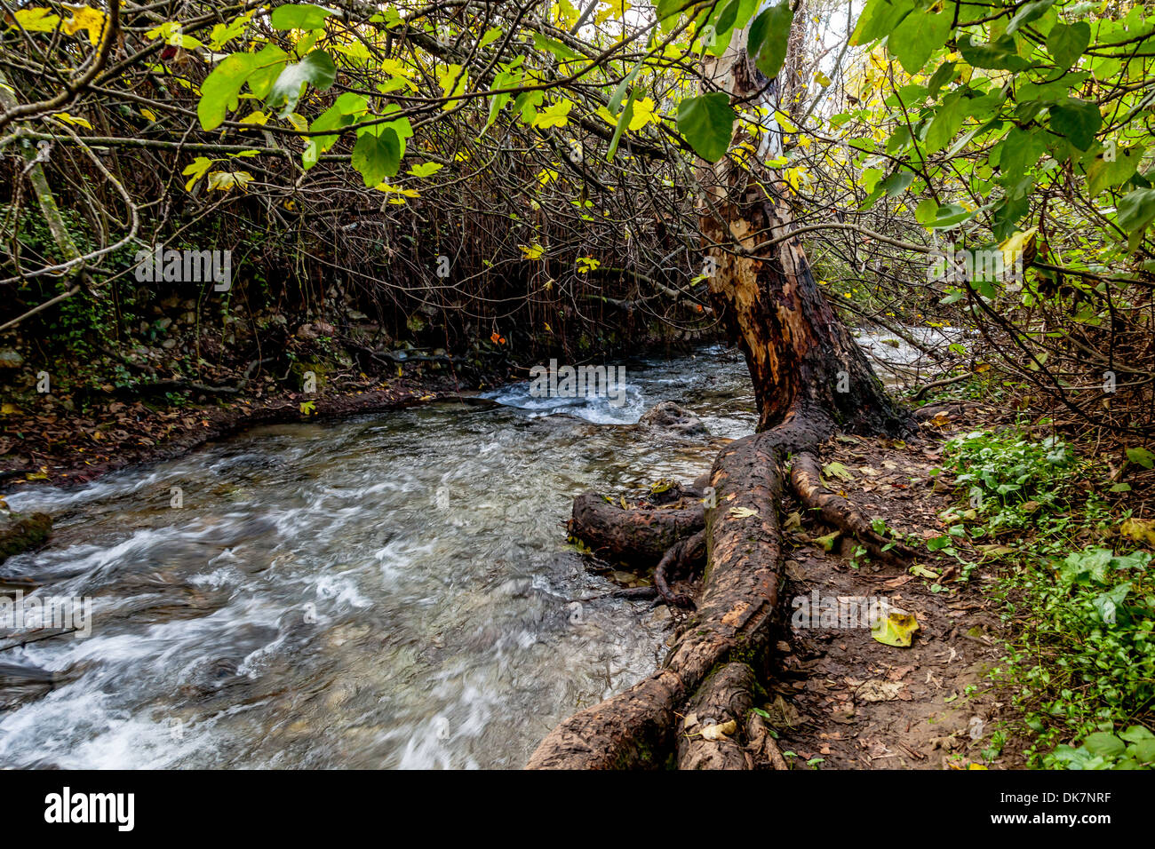 River Majaceite between the towns of El Bosque and Benamahoma on the  province of Cadiz, Spain Stock Photo - Alamy