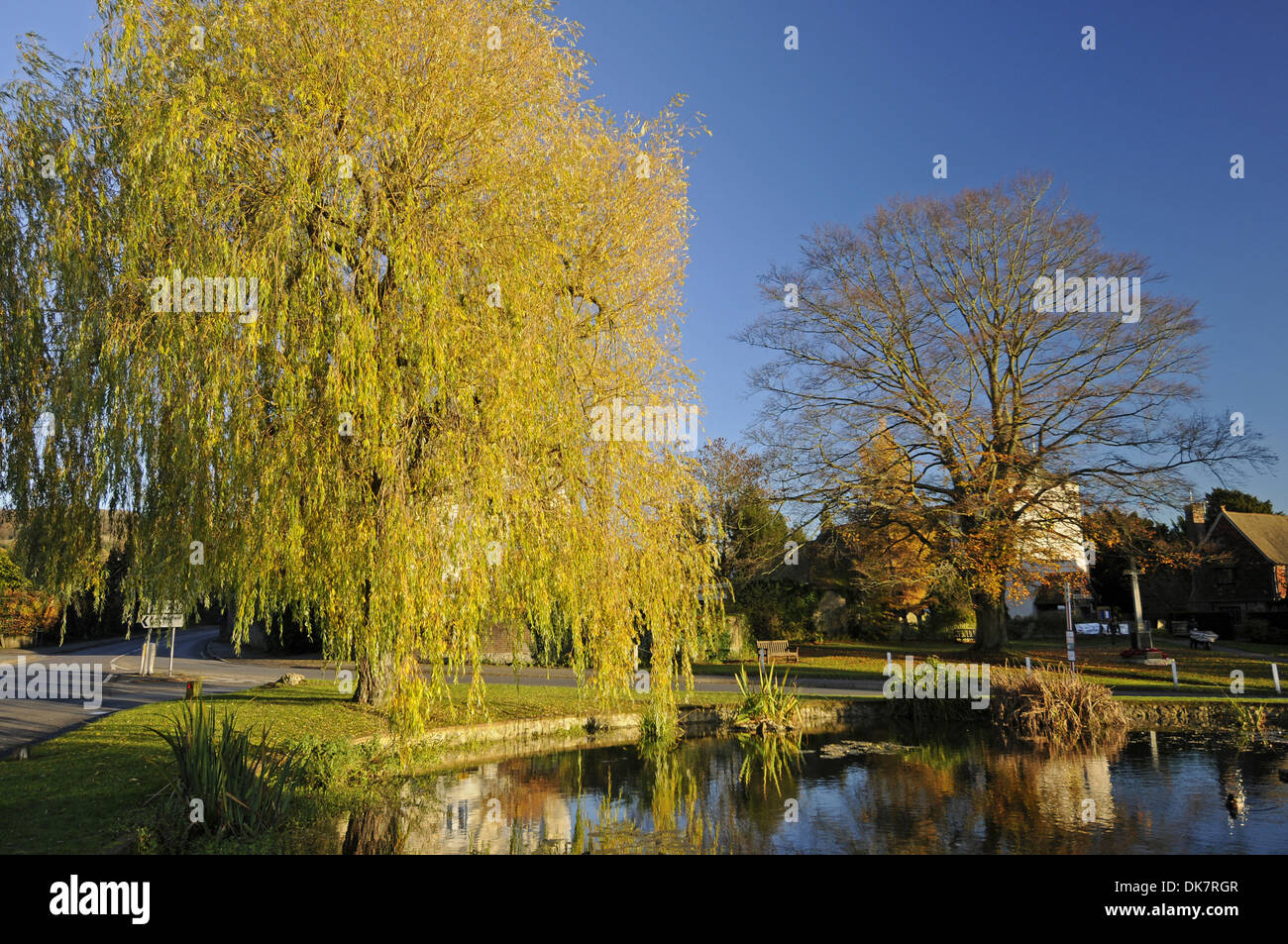 Autumn Trees around Pond in the Village of Otford Kent England Stock Photo