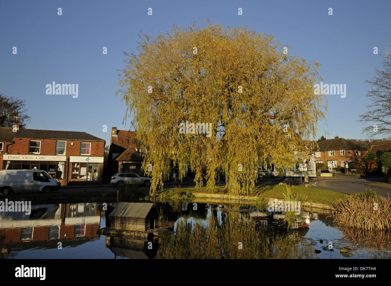 Autumn Trees around Pond in the Village of Otford Kent England Stock