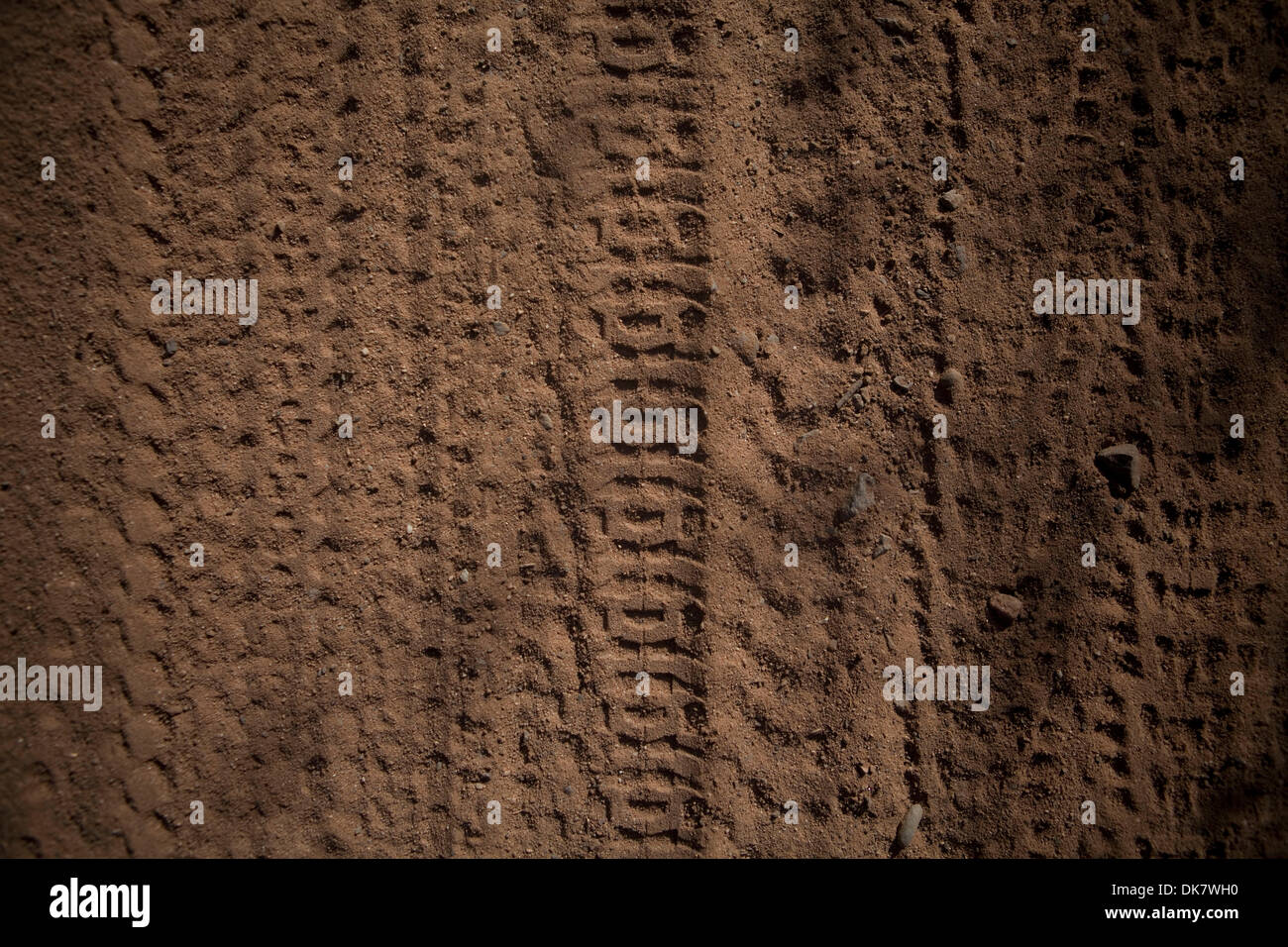 May 24, 2011 Silverado, California, U.S. Mountain bike tire tracks