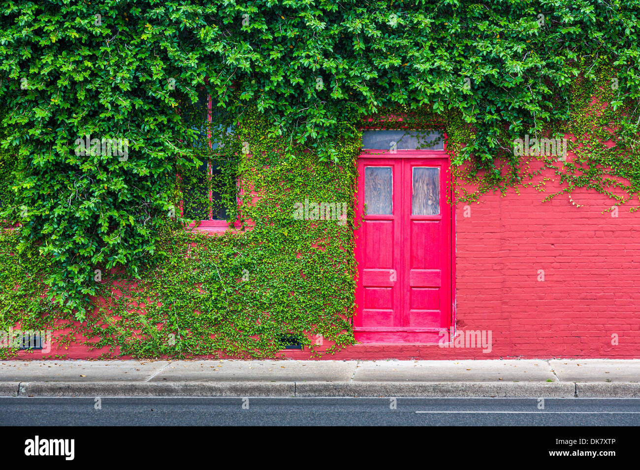 Ivy covered bright red brick wall with bright red door in downtown Green Cove Springs, Florida Stock Photo