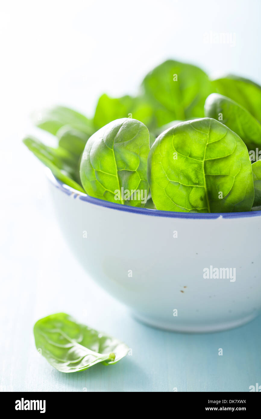 baby spinach leaves in bowl Stock Photo