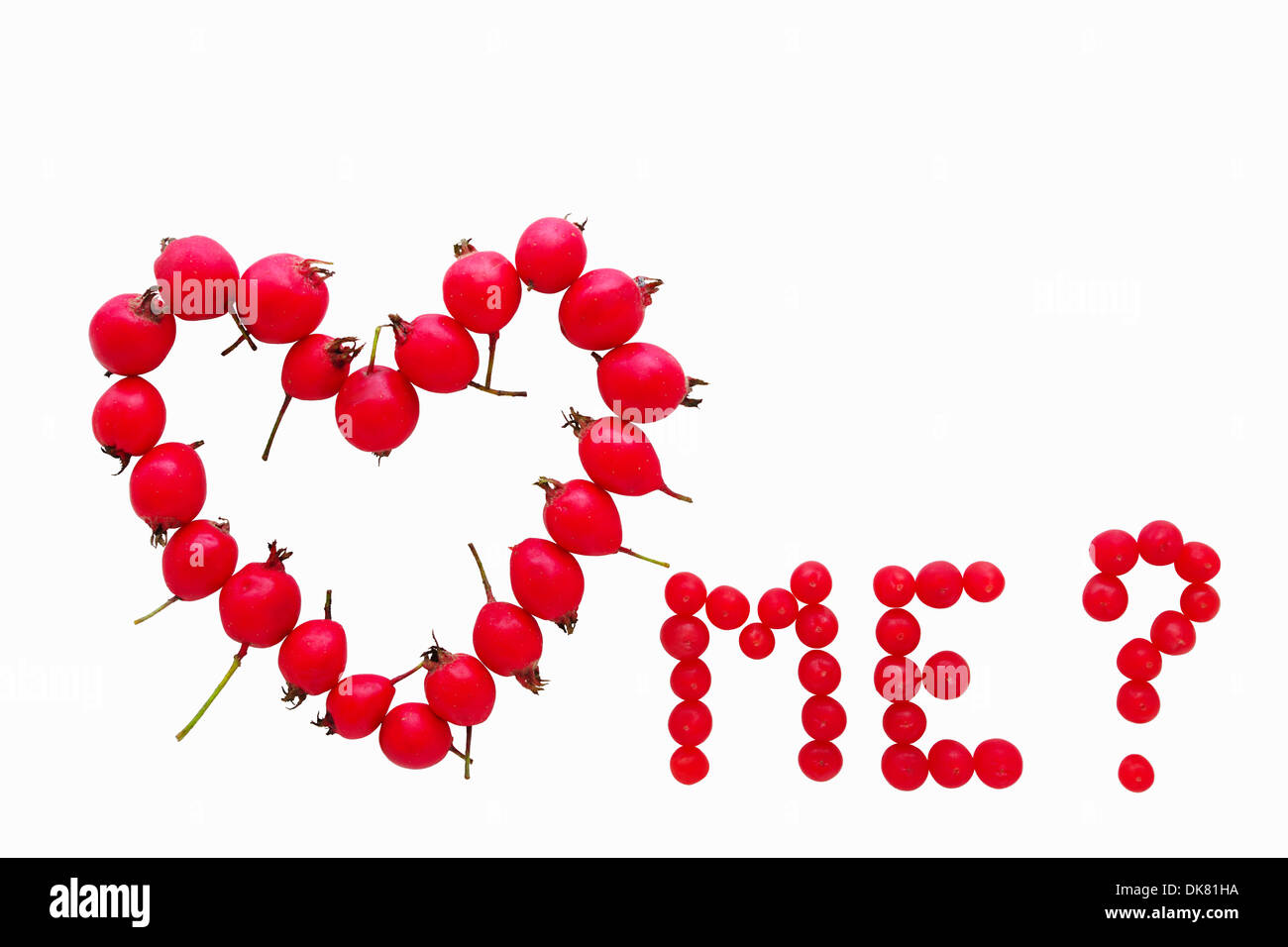 Valentine card concept. Red yew and hawthorn fruits forming 'Do you love me?' question, isolated on white background. Stock Photo