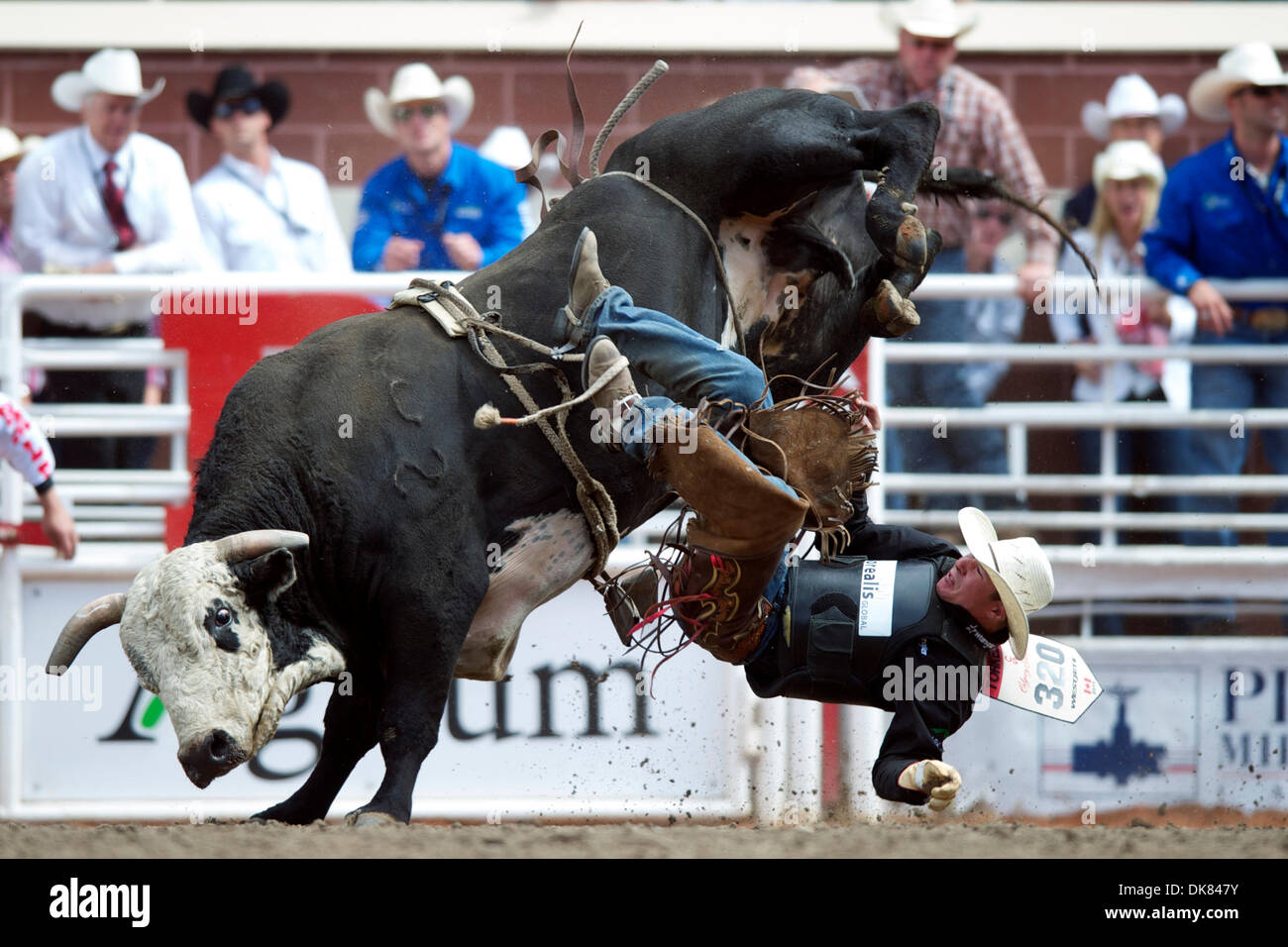 Bull rider at calgary stampede hi-res stock photography and images - Alamy