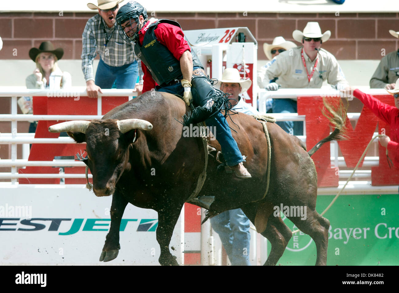 July 9, 2011 - Calgary, Alberta, Canada - Bull rider Chad Besplug of Claresholm, AB rides Whiskey Jack at the Calgary Stampede in Calgary, AB, Canada. (Credit Image: © Matt Cohen/Southcreek Global/ZUMAPRESS.com) Stock Photo