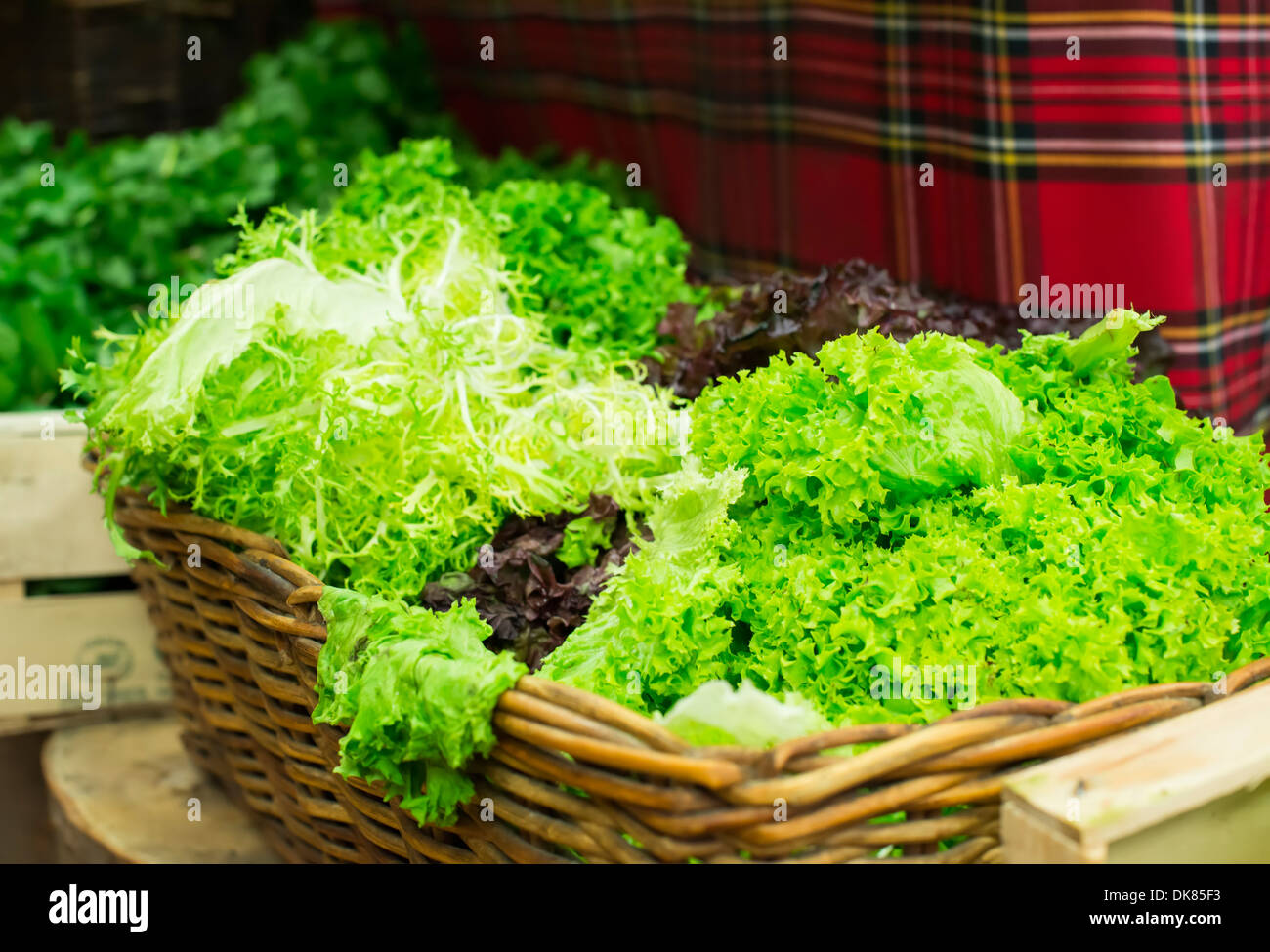 Green and red Lettuce salad in a shop Stock Photo