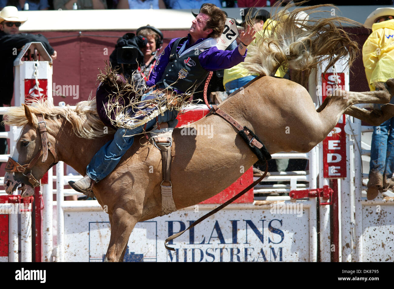 Ann Cohen High Resolution Stock Photography and Images Alamy