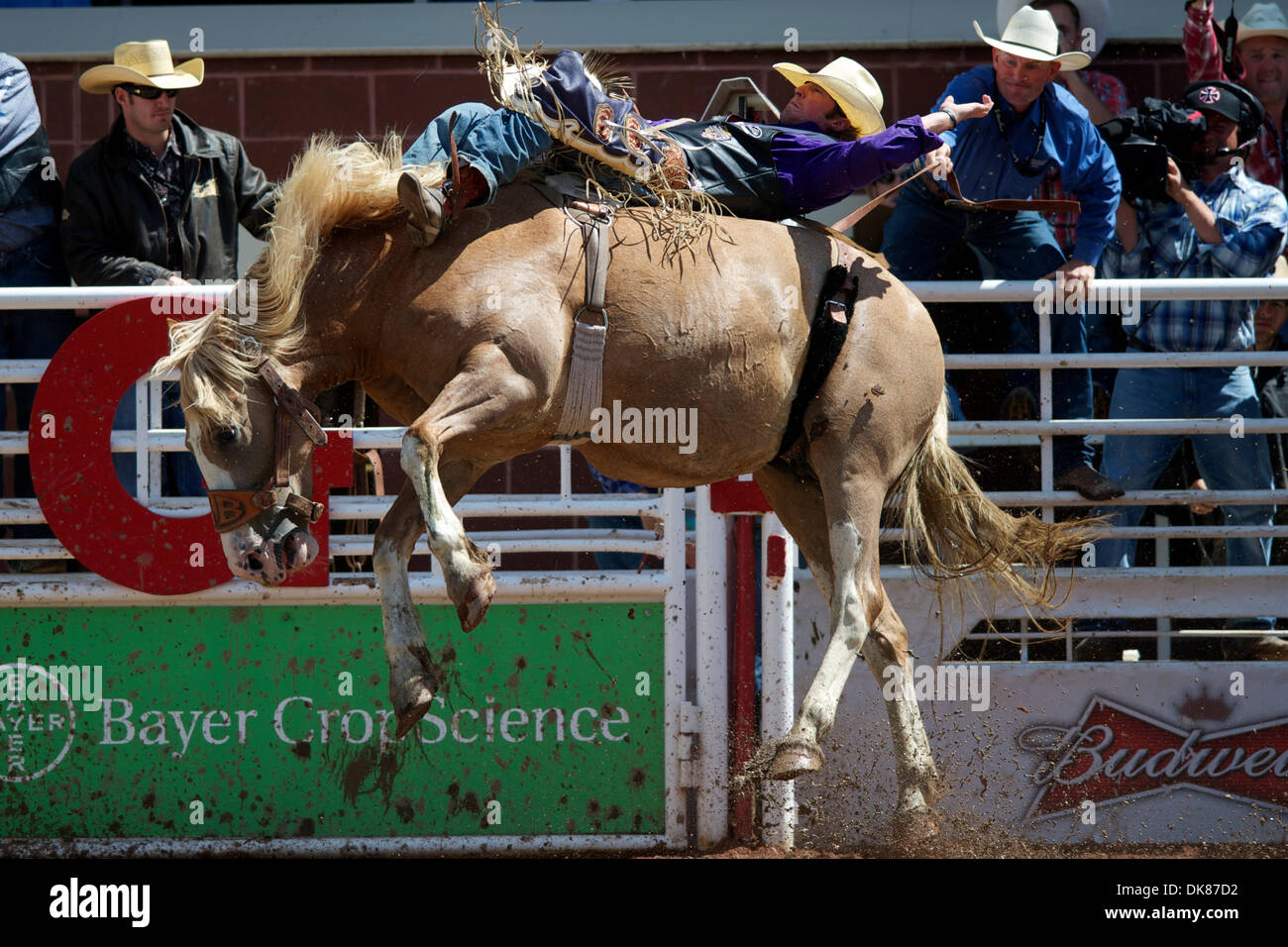 Ann cohen hires stock photography and images Alamy