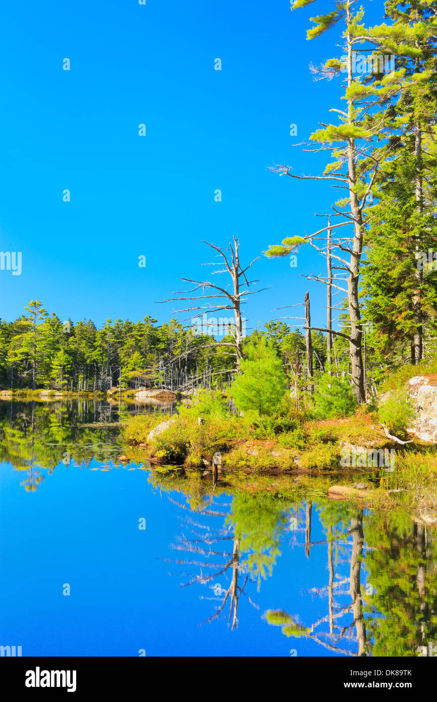 Reid State Park, Georgetown, Maine, USA Stock Photo - Alamy